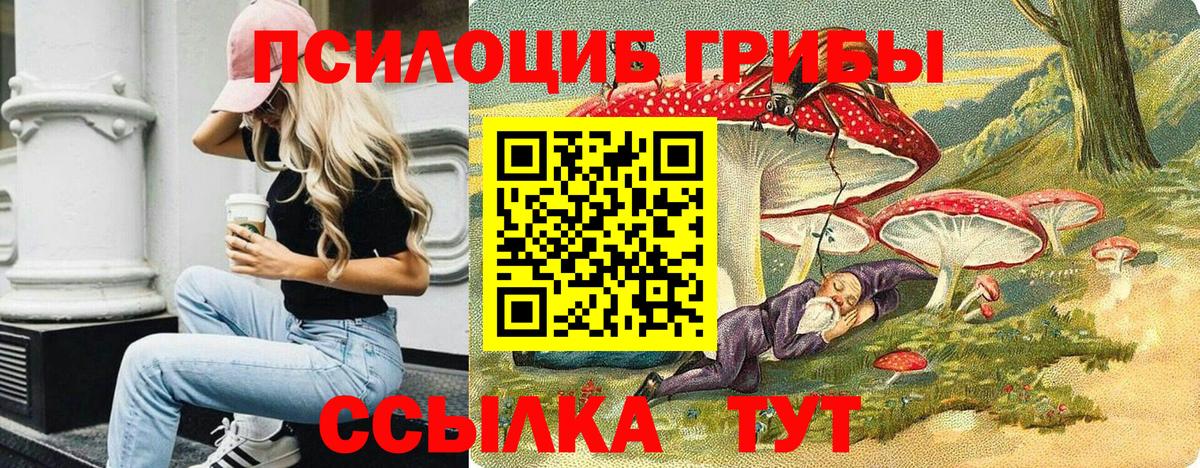 Галлюциногенные грибы MAGIC MUSHROOMS  Галлюциногенные грибы Psilocybine cubensis  Вход с VPN  Воскресенск 